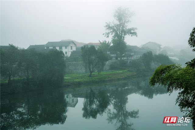 岁暖时刻丨冬日通道玉带河：被晨雾唤醒的山水画廊
