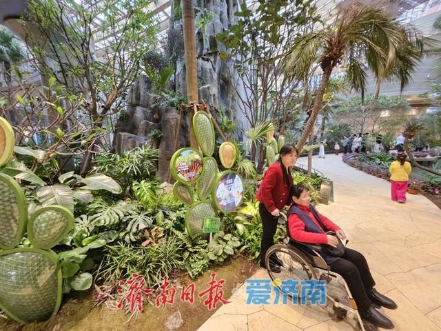 一年四季 泉在济南丨游鹊华中新园 市民打卡热度不减
