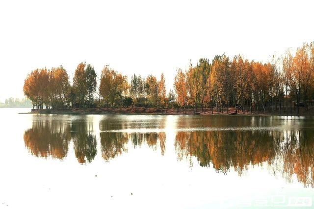 秀山东丨泰安市新泰，‌层林尽染映湖光，初冬绘就多彩画卷