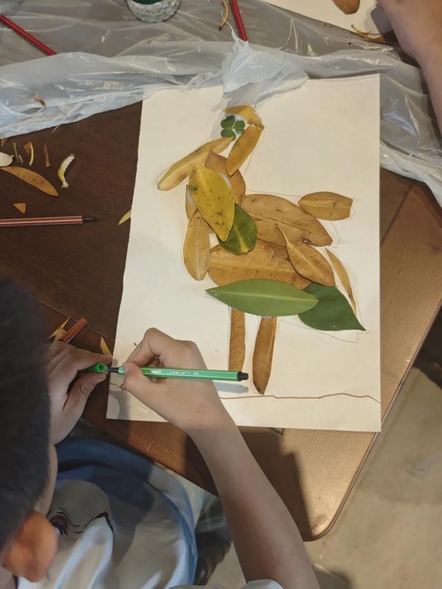 东寨港红树林研学进行时，自然课堂里的欢乐时光～