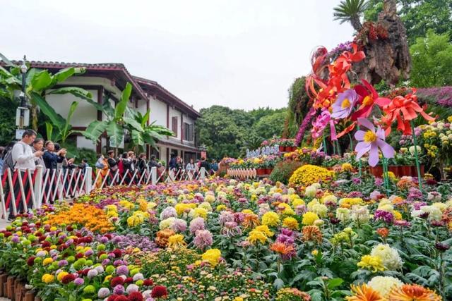 这场秋菊盛会，描绘着福建的千年风雅