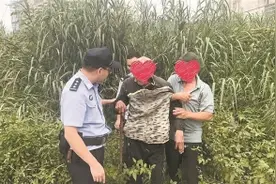 身患阿尔茨海默病 老人蹲草丛中急坏家属图片