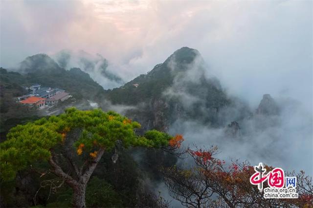 黄山：层林尽染 一幅幅醉美秋色画卷(图)