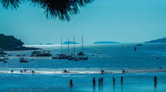 这个秋天，青岛用城市风景发来一封浪漫邀约