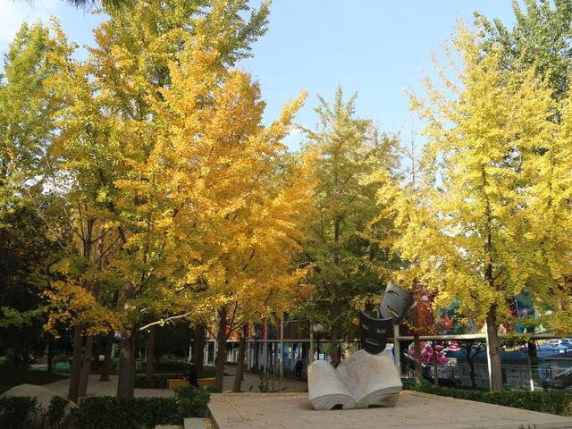 不必扎堆地坛公园！东城区赏秋攻略，一图收藏