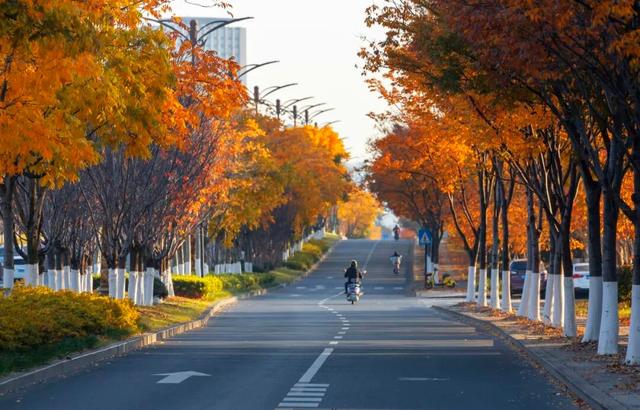 宜兴，一路斑斓！