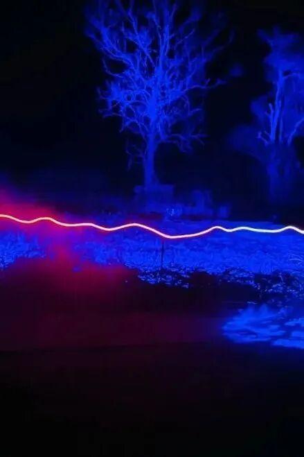 哈迷集合！全国首家“哈利·波特：禁林体验”门票免费送