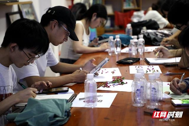 免费科普盛宴点燃暑期 省植物园邀你探秘奇趣自然