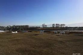 山西忻府区：打造首善之地的文旅新名片图片