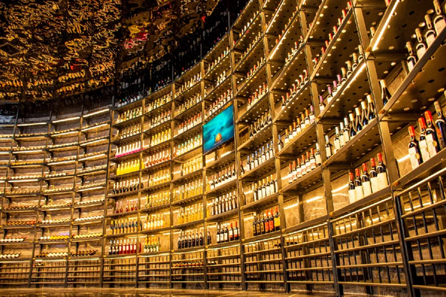 周末就来青白江！又研学又度假，安排！