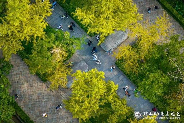 南京石象路秋日限定正式上线