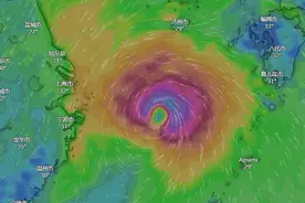 停运、停航！上海迪士尼紧急闭园！图片