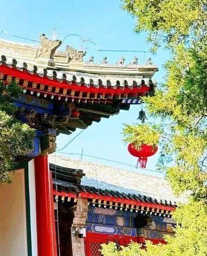 秋天的第一场Citywalk，从海淀这些宝藏地开始~