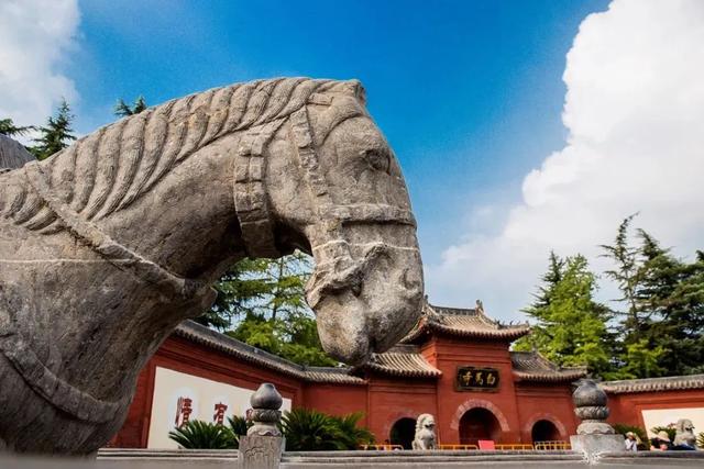 停！来存几个洛阳景点拍照打卡点位！