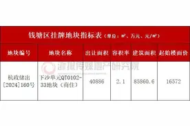 真正的环幕湖景 地铁零距离 这块地大概率成为金沙湖又一个改善地标图片