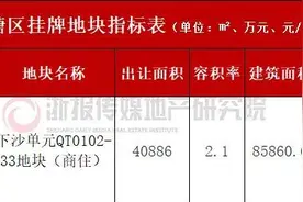 真正的环幕湖景 地铁零距离 这块地大概率成为金沙湖又一个改善地标图片
