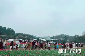 先升至26℃再降回10℃……下周长沙天气再现秒“变脸”图片