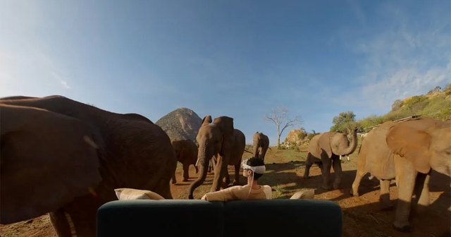 Vision Pro 沉浸式内容将迎爆发期，苹果首度公开8K视频制作流程