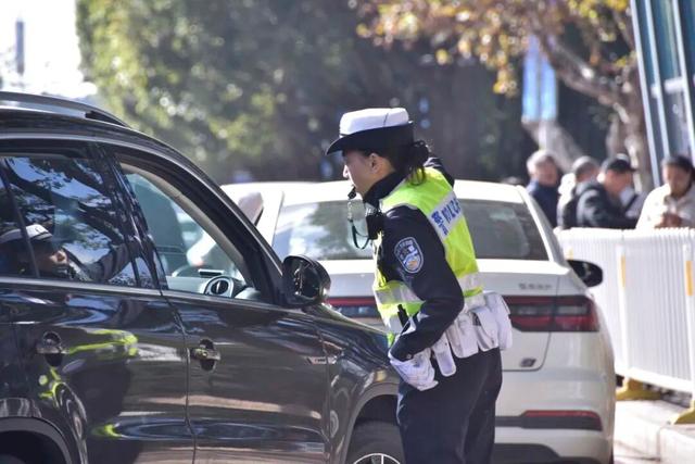 来昆观鸥！这样不堵！