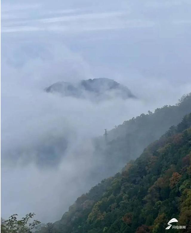 组图丨泰山秋韵：当云海吻过山林 是独属于十月的浪漫