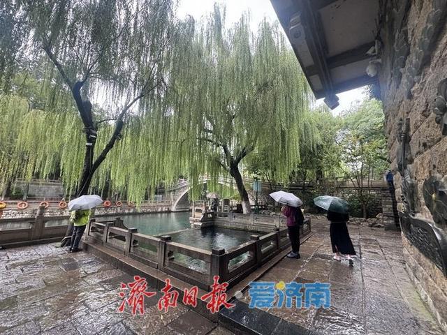 “不是江南胜似江南”，济南护城河畔雨中尽显诗意