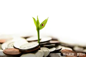 解读2024政府工作报告｜绿色低碳经济大有可为图片