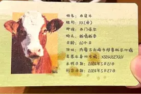 餐厅发被吃牛的身份卡，请尊重消费者的不适图片