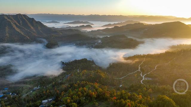 晨雾枫叶红 日出田园美