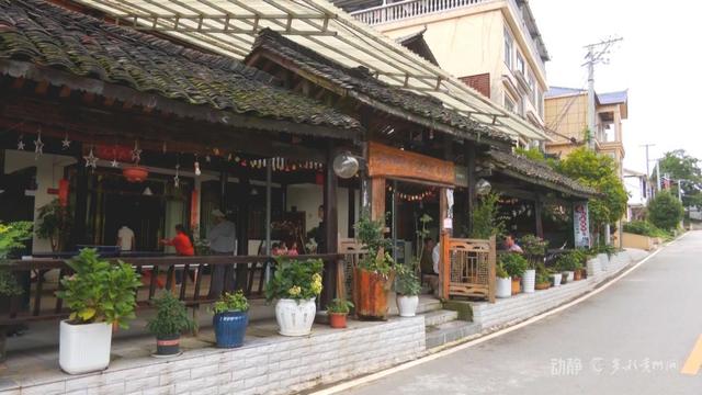 跨省“候鸟”栖居黔山，扇动百亿清凉经济