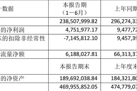 国旅联合：2023年上半年净利润475.20万元 同比下降49.86%图片