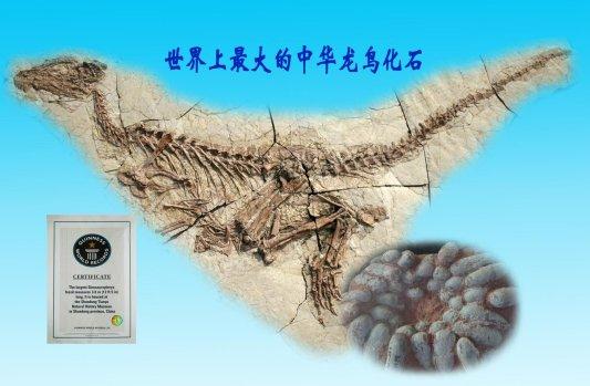 山东文旅传媒集团携手山东天宇自然博物馆打造科普研学旅游新高地
