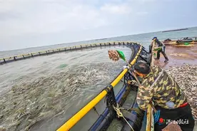 探访“智慧渔场” 零距离体验海上“放牧”图片