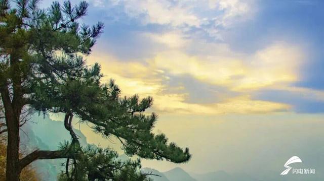 组图丨岱宗初冬暖光漫 红果松影醉游人