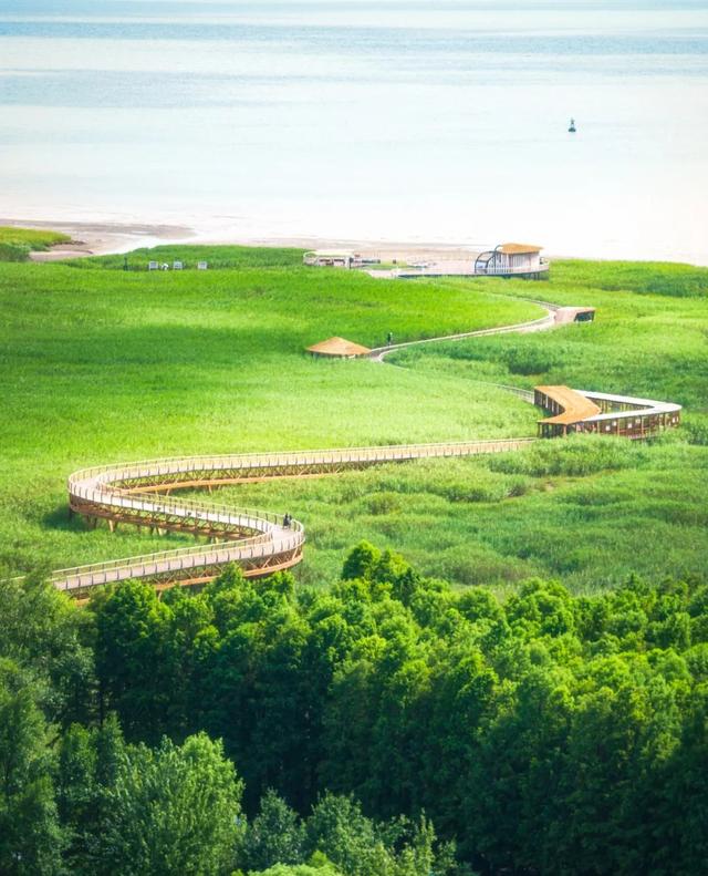 崇明这条生态研学路线，走起！