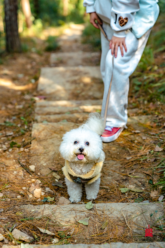 抓住晴天尾巴，徒步青龙山！