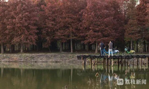 绝美！被初冬的句容惊艳到了