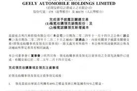 “闪电”合并，极氪领克等待“化学反应”图片