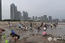 55岁大姐赶海捞贝，吃了一顿后……这病死亡率是甲肝10倍！图片