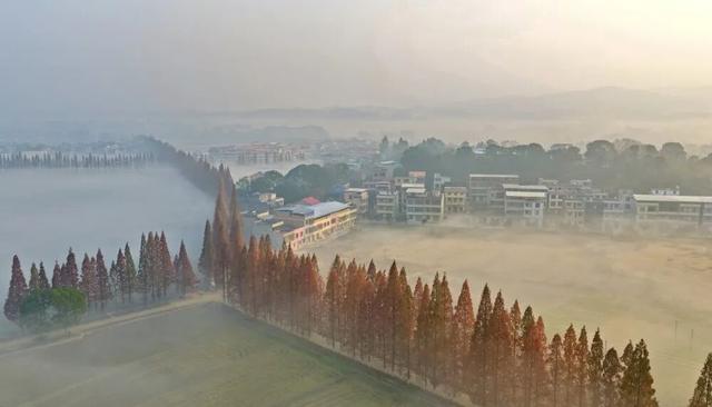 今日图集丨雾锁长江村：常宁的另一面，从晨雾开始苏醒
