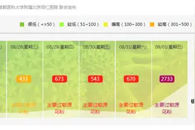 痒、痒、痒……原来兰州花粉浓度“爆表”！快调整好应对之招→图片