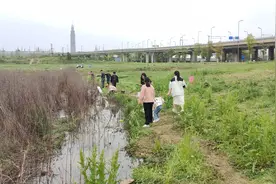 青龙湖可以钓小龙虾？现场已难觅小龙虾踪影，专家：野生的不建议吃图片