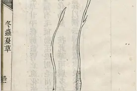 书摘｜古人如何理解冬虫与夏草的转化图片