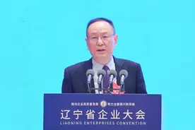 关于辽宁，这些知名专家企业家说......图片