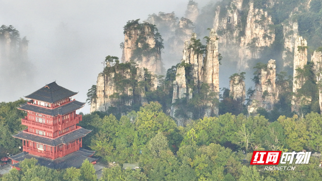 国庆游张家界|武陵源：云上奇峰天子山