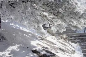 黄山大雪多名游客摔倒，有人头朝下滑落台阶撞上护栏！景区紧急关闭部分游步道图片