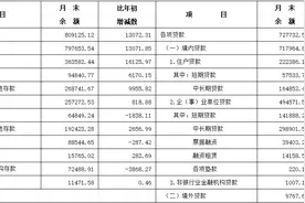 2025年1月长三角地区货币信贷运行情况图片