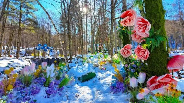 错过等一年！这个冬天，来嵩县“嗨皮”一圈！