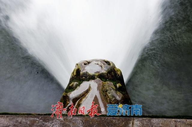 一年四季 泉在济南丨护城河畔细雨织轻纱 垂柳秋韵映清波