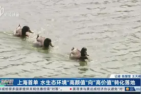 上海首单 水生态环境“高颜值”向“高价值”转化落地视频封面