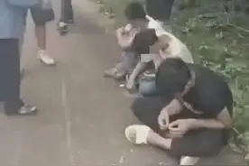 海口3人光天化日下偷槟榔，全部落网图片